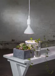 Star trading LED augu lampa ar