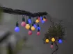 Light Chain Hooky
