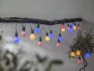 Light Chain Hooky