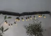 Light Chain Small Hooky