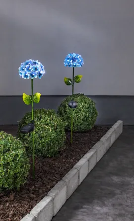 LED dekors zieds uz saules baterijām Hortensia 481-56