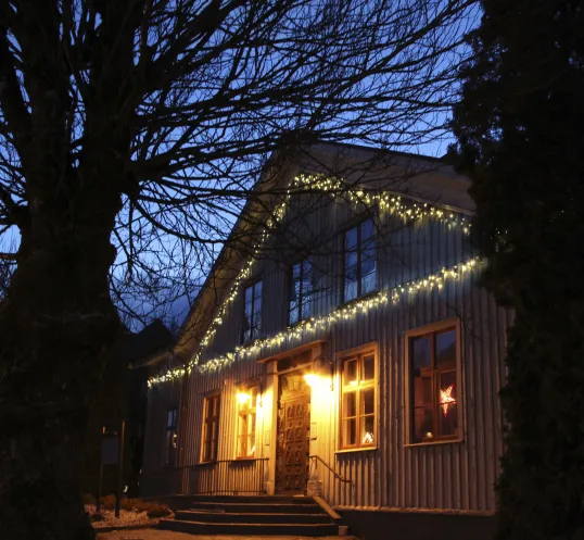 LED Diožu Virtenes 50 LED lampiņas SYSTEM EXPO 300cm 50 LED Lampiņas 484-30