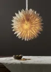 Paper Star Dis