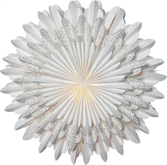 Paper Star Snow