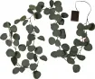Garland Eucalyptus