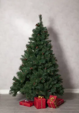 Christmas Tree Toronto