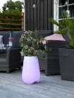Outdoor Decoration Twilights